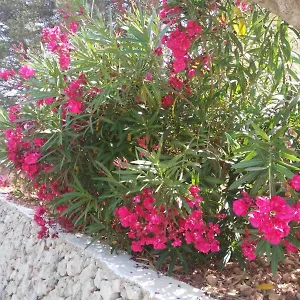  Apartamento Cala Galdana